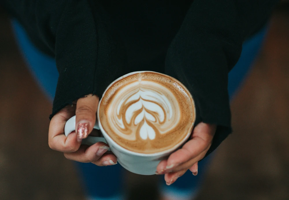 cappuccino and espresso maker